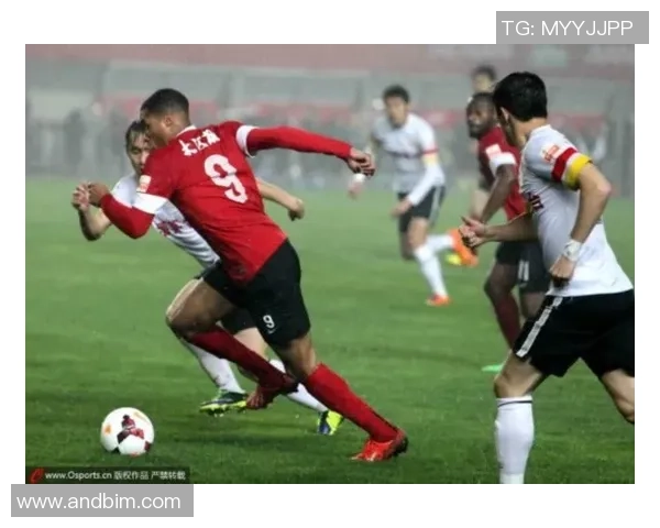 北京网球队团队协作的成功之道与挑战分析