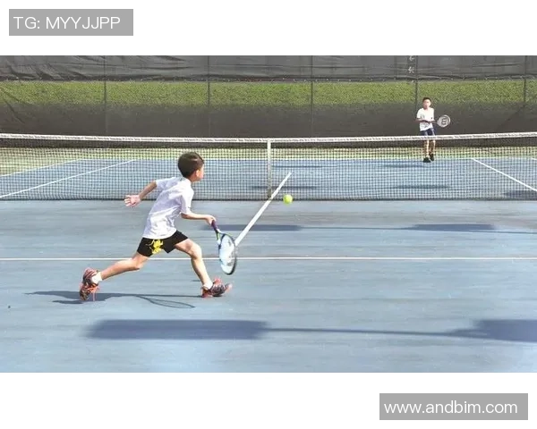 北京网球队状态分析：聚焦训练与比赛表现的全面评估