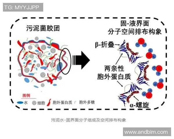 北京网球队战术解析与对比深度剖析团队协作与个人技术的结合
