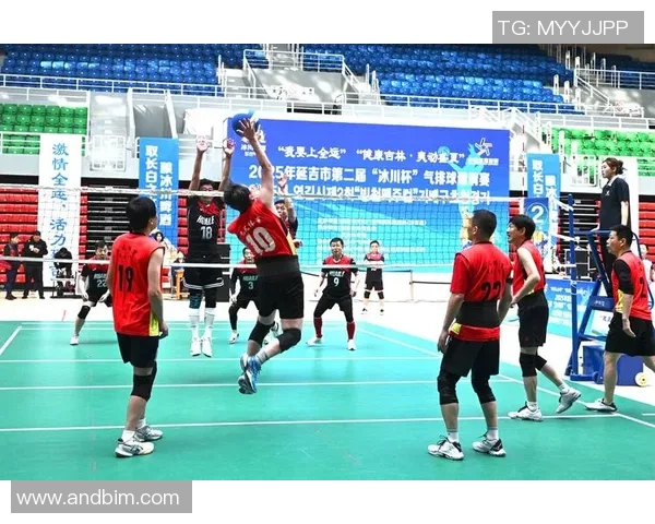 杭州排球队实力分析聚焦排球运动的未来发展与挑战