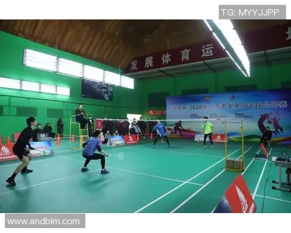 深入探讨北京羽毛球队的配合表现与战术分析对比赛成绩的影响