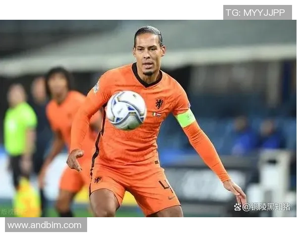 荷兰足球明星的辉煌成就与世界排名解析